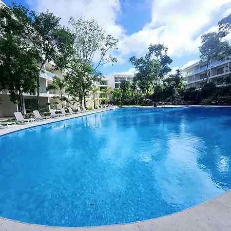 Exclusive Modern Condo In Playacar